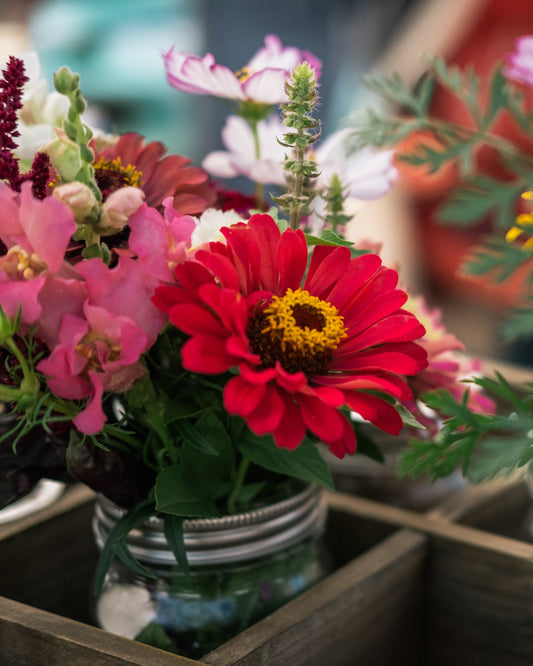 Bloom Couture - Rode Zijden Bloemen